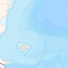 Image result for Oreophyton