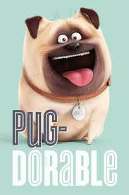 тайная жизнь домашних животных 2 смотреть онлайн бесплатно ютуб The Secret Life Of Pets Pug Dorable Official Poster Secret Life Of Pets Pet Pug Pets Movie