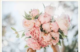 Enjoy our beautiful flower quotes collection by famous poets, authors and monks. 80 Quotes About Flowers To Freshen Your Day Proflowers Blog