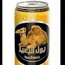 Also, what is it with religions and drinking piss.? Mahmoud Luai Rahal Pa Twitter 100 Of Saudis Drink Camel Urine Because They Believe It Kills Cancer I Think Mr Trump Must Give This A Chance And Have Fda Prove It
