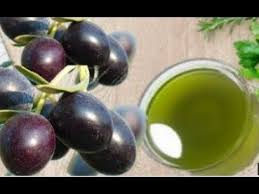 طريقة استخراج زيت الزيتون والمرجان في البيت للاكل والعلاج Youtube Fruit Plum Olive