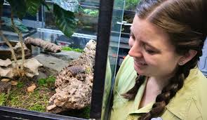 Walt Disney World News