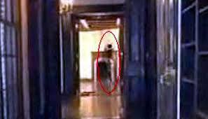 Pada mei 2014, seseorang bernama reece savva (14) tak sengaja menangkap sosok misterius yang sejumlah orang yakini bahwa itu merupakan bayangan mj. 10 Orang Terkenal Ini Kabarnya Menjadi Hantu Setelah Meninggal Tentik