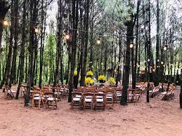 Esto para que le dé la pureza y luz necesaria a tu evento. Boscoso Un Bosque Magico Y Perfecto
