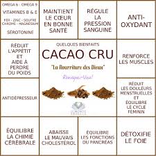 Cacao Cru Aliments Bons Pour La Sante Alimentation Et Nutrition Les Super Aliments