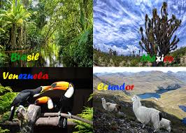 Venezuela juegan hoy en vivo vía américa tv a las 4.00 p. La Biodiversidad En Venezuela Unas De Las Mejores En El Mundo