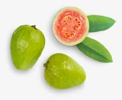 Psidium guajava (common guava, lemon red guavas can be used as the base of salted products such as sauces, substituting for tomatoes, especially to minimize acidity. Guava Png Images Transparent Guava Image Download Pngitem