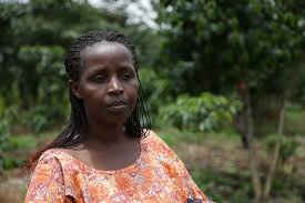 25 years after the genocide. Empowering Women Coffee Producers In Rwanda
