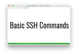 In order to rename those directories, you would run the following command Basic Ssh Commands List Of Most Used Putty Commands In Linux