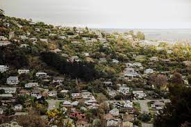 Despite having years of experience. Can You Help Me The Quiet Desperation Of New Zealand S Housing Crisis New Zealand The Guardian