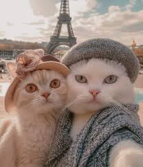 Thanks 👍 Fien for sharing with use