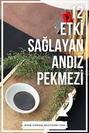 faydalari panosundaki pin