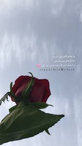 همسه يا جامع الغيم في السماء اجمع بيني وبين فرحي و استجب لي كل دعوه فاض بها قلبي تصويري تصو Instagram Ideas Photography Rain Words Instagram