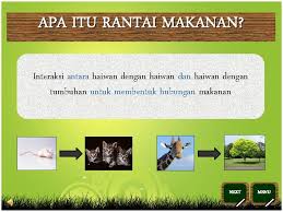2 jenis simbiosis antara tumbuhan ialah. Jenis Interaksi Antara Haiwan Rpt Thn 6 2015 Doc Document Interaksi Antara Kelompok Dan Kelompok