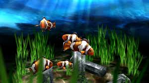 You can also upload and share your favorite 3d live wallpapers. Free Download Best 3d Live Wallpapers Android Live Wallpaper Download 660x371 For Your Desktop Mobile Tablet Explore 50 The Best Wallpapers Wallpaper Sites Best Wallpapers For Windows 10 Best Wallpapers For Desktop