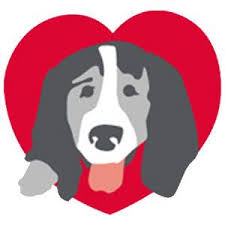2,510 likes · 804 talking about this. Faqs Coco S Heart Dog Rescue