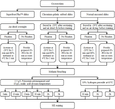 flow chart representing fixation and bleaching methods