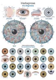 Chart Iris Diagnosis 50x70cm