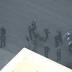 Media image for bixby knolls long beach ca from NBC Southern California