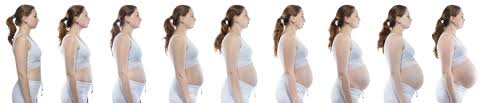 Peso normal de un bebe de 33 semanas. 11 Diferencias Entre El Embarazo De Nino Y El Embarazo De Nina Bebe De Paris