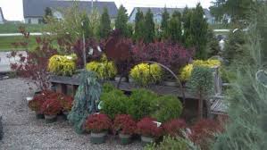 Turtle creek park is popular with nature photographers, weekend anglers, wedding photographers and many of the local neighbors who walk their dogs and enjoy the natural environment. Turtle Creek Nursery Landscaping 2449 Rose St Owatonna Mn Nurseries Mapquest