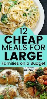 12 Delicious Frugal Meal Ideas For Large Families On A Budget Cheap Healthy Meals Large Family Meals Cheap Family Meals