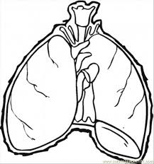 Coloring page to go on the back of the liner notes of the cd art i'm doing for the dirty lungs. Lungs Coloring Page For Kids Free Body Printable Coloring Pages Online For Kids Coloringpages101 Com Coloring Pages For Kids