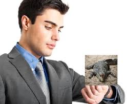 workday survival experience