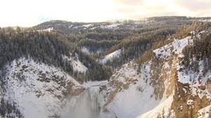 Nature Yellowstone National Park Cbs News