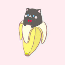 Kết quả hình ảnh cho cat in a banana