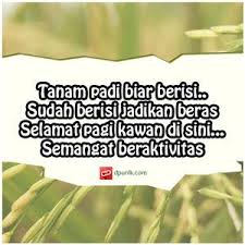 Bingung mau memberi kata kata ucapan selamat ulang tahun untuk orang spesial? Gambar Kata Ucapan Selamat Pagi Grup Wa Download Kumpulan Gambar