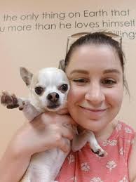 Message me if you've seen my dog. German shepherd. 1 year old