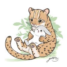 ㄇㄚˊ幾 machiko on twitter cute animals leopard cat poster design