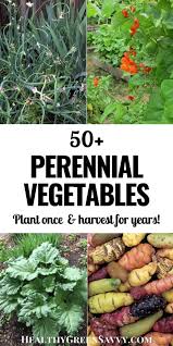 With all the seed buying and gardening that happens in spring, people forget that there are perennial vegetables that grow back on their own. Perennial Vegetables To Plant Once Harvest For Years