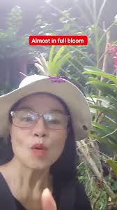 Almost in full bloom this beautiful red mokara