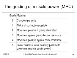 Muscle Power And Tone Examination