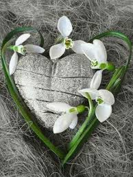 Carole flowers is a member of vimeo, the home for high quality videos and the people who love them. Pin By Carole Al On Jarne Variacie Flowers Heart In Nature Beautiful Flowers