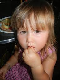 Eating Ants Hormigas Culonas in Santander