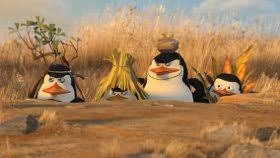 The Penguins Of Madagascar | Sam Ben'S Blog