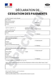 Le passif exigible regroupe les dettes sociales, salariales, et fiscales, ainsi que les dettes de loyers et de fournisseurs. Cerfa 10530 01 Declaration Cessation De Paiement Ouverture Liquidation Judiciaire Startdoc
