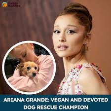 Ariana Grande isn't just a pop icon—she's a true friend to animals. A  dedicated vegan, she has opened her heart and home to numerous rescue dogs.  In 2015, she told Billboard, “I