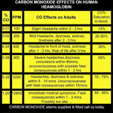 carbon monoxide effects