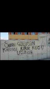 senin gulusun kanadi kirik kusu ucurur e kartlar guzel soz ozlu sozler