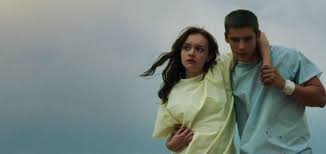 The Signal (2014) |