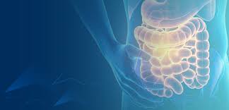 Image result for Neutropenic Colitis