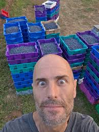 Handpicked fruits and veggies in Langley