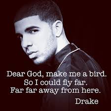 Not Drake quotes