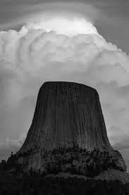 See #blackandwhite photos from our your shot photo community. Introduction To Black And White Nature Photography