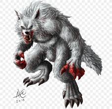 Werewolf Gray Wolf Scott Mccall Derek Hale Art Png 691x800px Werewolf Alpha Art Carnivoran Cat Download ➳ sometime later, derek entered into a relationship with werewolf hunter kate argent. werewolf gray wolf scott mccall derek