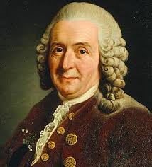 LINNAEUS